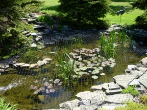 Pond Nets and Netting Products, Buffalo, Orchard Park, NY :: Pond Nets