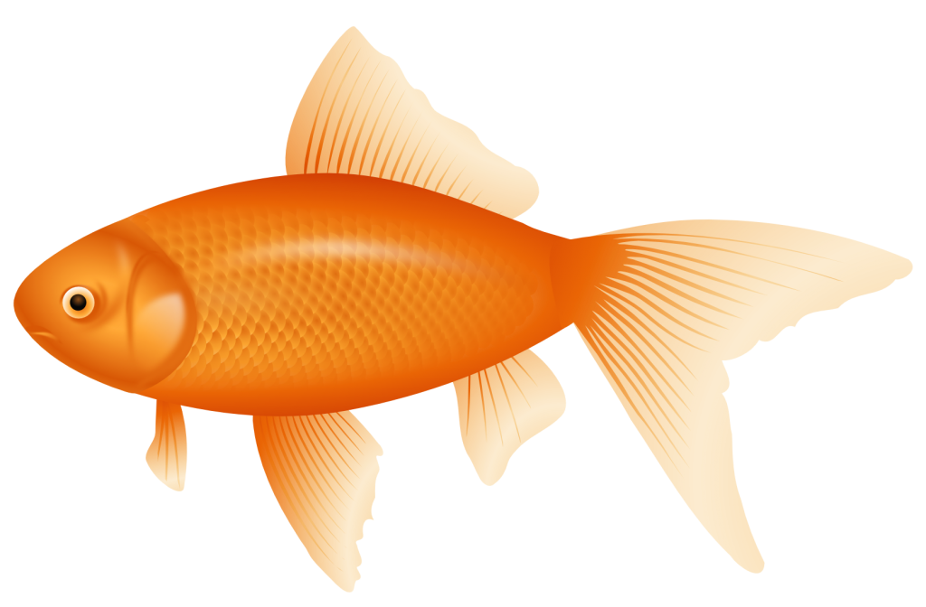 Pond Nets and Netting Products, Buffalo, Orchard Park, NY Pond Nets